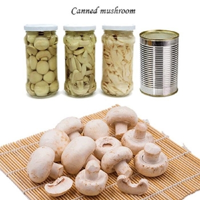 Pieczarki Pieczarki Owoce w Puszkach Warzywa Pieprzone Plastry Pieczarki