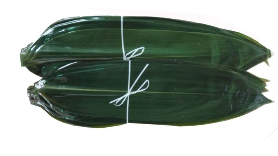 Dekoracja sushi Sashimi Świeże liście bambusa Zongye 7,5 cm