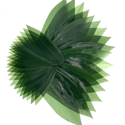 Dekoracja sushi Sashimi Świeże liście bambusa Zongye 7,5 cm