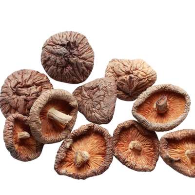 100g 250g 1kg 3kg Suchy grzyb shiitake z BRC IFS ISO HACCP