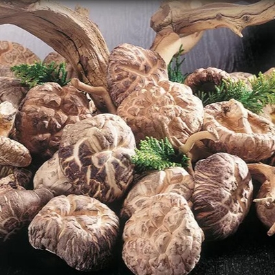 Zdrowy, suchy grzyb Shiitake 1 kg Gładka powierzchnia 2 lata trwałości