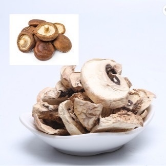 10x10mm Brązowa japońska sucha torba do uprawy grzybów Shiitake luzem