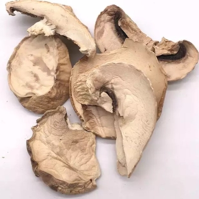 10x10mm Brązowa japońska sucha torba do uprawy grzybów Shiitake luzem