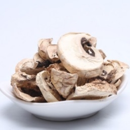 10x10mm Brązowa japońska sucha torba do uprawy grzybów Shiitake luzem