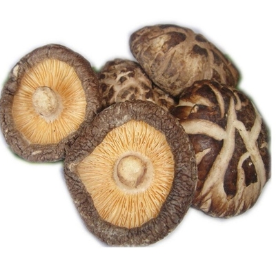 HACCP 1kg 3kg Suchy grzyb japoński Shiitake o dobrym smaku