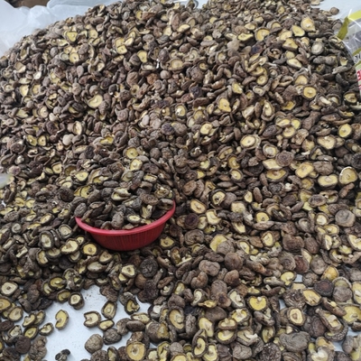 Naturalne luzem suszone grzyby shiitake organiczne suszone grzyby shiitake