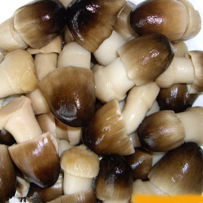Świeży naturalny surowiec Owoce w puszkach Warzywa 425g Grzyb hodowlany